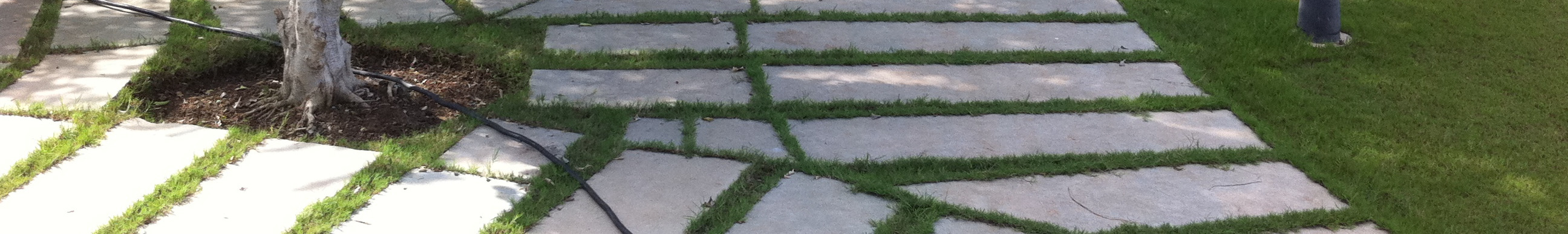 Landscape walkway